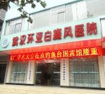 引起白癜风的原因有哪些